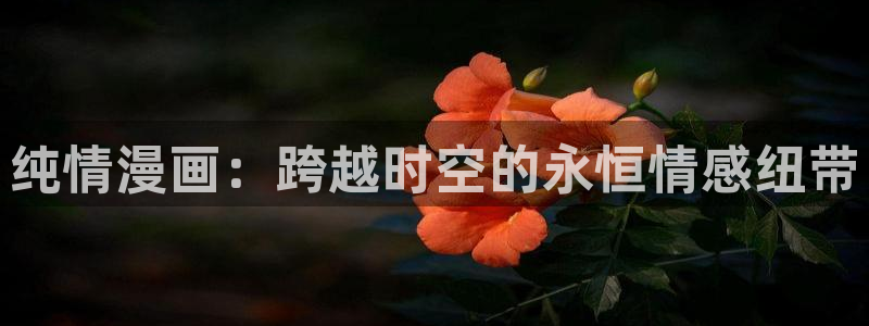 91漫画的官网