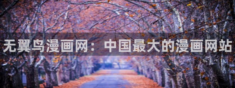91漫画官网